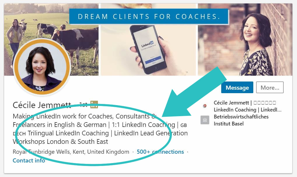 LinkedIn Profile Headline